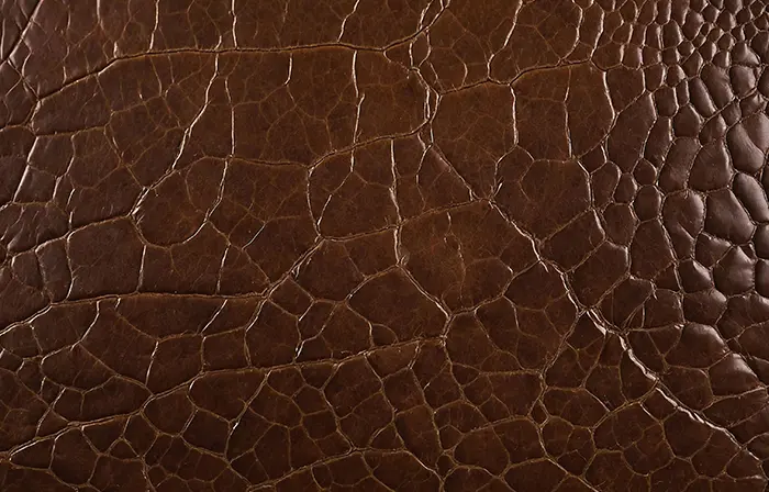 Natural Alligator Hide Texture View image